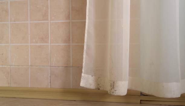Best Mold Documentation for Insurance Claims  in Pocono Ranch Lands, PA