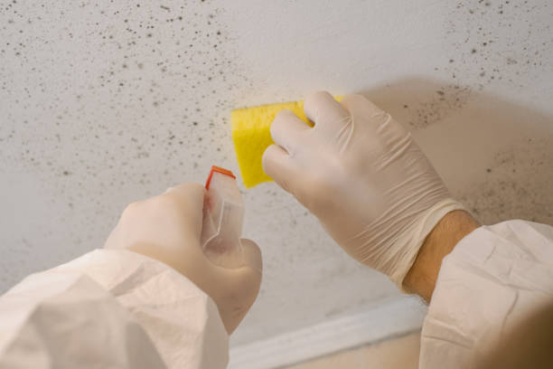 Best Air Quality Testing for Mold Spores  in Pocono Ranch Lands, PA